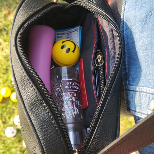 bolso